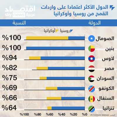 3 دول عربية تعتمد بشكل كبير على واردات القمح من روسيا وأوكرا