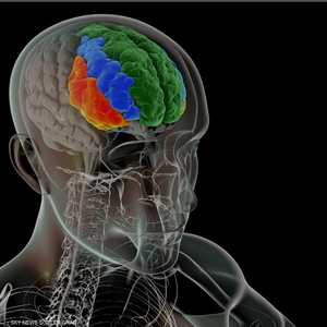 أدوية خفض الكوليسترول قد تقلل أيضا من خطر الإصابة بالخرف