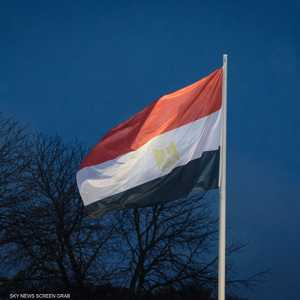 مصر تتقدم بطلب للانضمام إلى "بريكس"