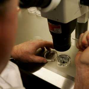 تزدهر البكتيريا في البيئات الطبية مثل المستشفيات