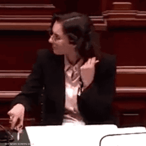 وزيرة الخارجية البلجيكية حجة لحبيب