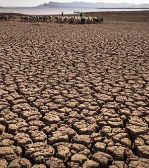 الجفاف يضرب مناطق شاسعة في إفريقيا..أرشيفية
