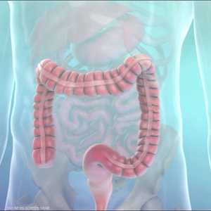 شرب الماء مهم في الحفاظ على صحة الأمعاء