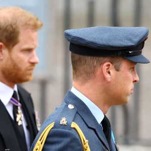 الأمير وليام وشقيقه هاري