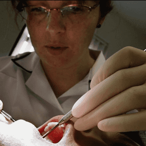 صحة الفم تؤثر بشدة على جسم الإنسان