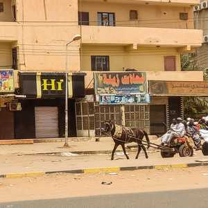 توقف غالبية المنظمات الصحية والخدمية في البلاد عن العمل