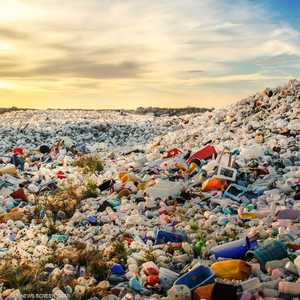 مادة "الفثالات" تسببت في أكثر من 356 ألف وفاة