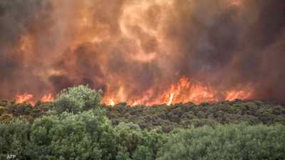 حرائق الغابات في اليونان