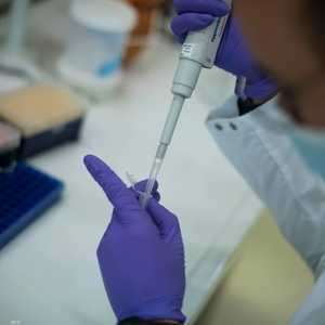 دراسة: البكتيريا التي تعيش في الأمعاء تمتلك قدرة للتنفس