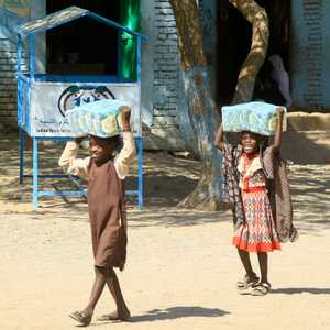 برنامج الأغذية العالمي يفتح تحقيقا بشأن عملياته في السودان