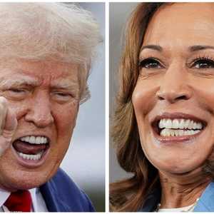 ترامب وهاريس