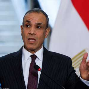 وزير الخارجية المصري يطالب باحترام سيادة لبنان