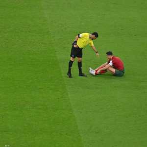 حوادث مثيرة للجدل.. الحكم علي رضا فغاني