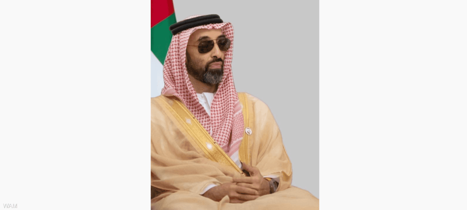 الشيخ طحنون بن زايد آل نهيان