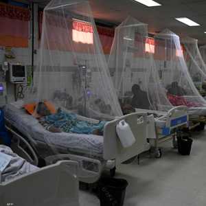 يمكن وضع مواد كيميائية في الناموسيات تمنع نمو طفيلي الملاريا