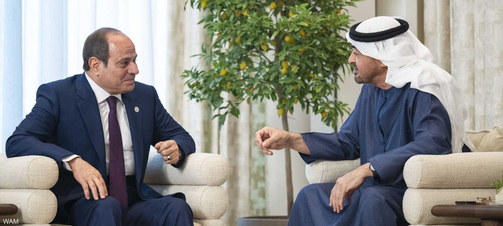 رئيس دولة الإمارات والرئيس المصري