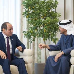 رئيس دولة الإمارات والرئيس المصري