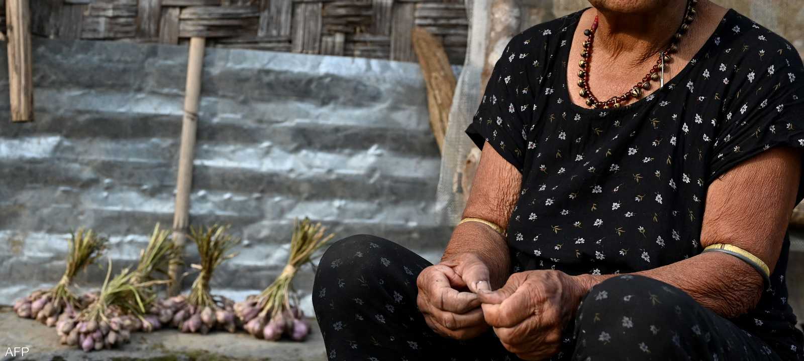 علماء كشفوا أن الثوم قد يبطئ الشيخوخة