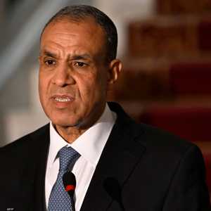 الوزير بدر عبد العاطي