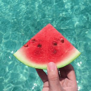 يجب ضبط حرارة الثلاجة عند 4 درجات مئوية