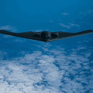 قاذفة الشبح "بي-2"