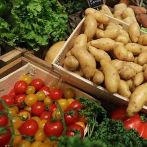 دراسة حديثة كشفت أن البطاطس تطورت من الطماطم