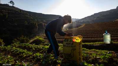 عودة سوق الأسمدة إلى طبيعتها ستستغرق وقتا إثر الحرب