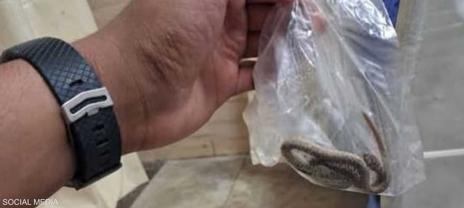 أثار المشهد استغراب الطاقم الطبي