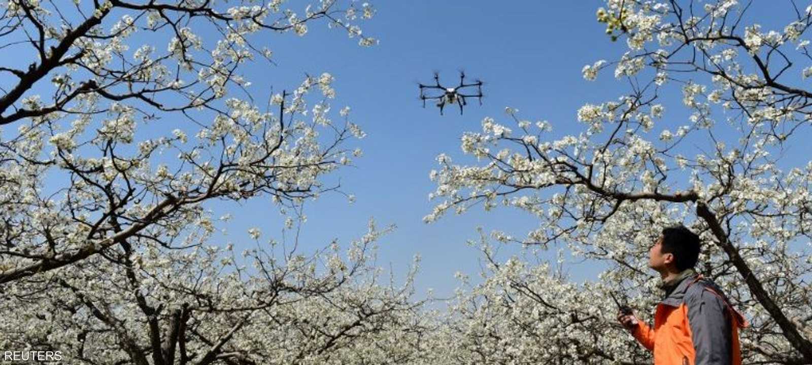 الدرون أصبحت الوسيلة الفعالة للرصد والتوجيه بالصين