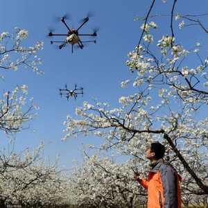 الدرون أصبحت الوسيلة الفعالة للرصد والتوجيه بالصين