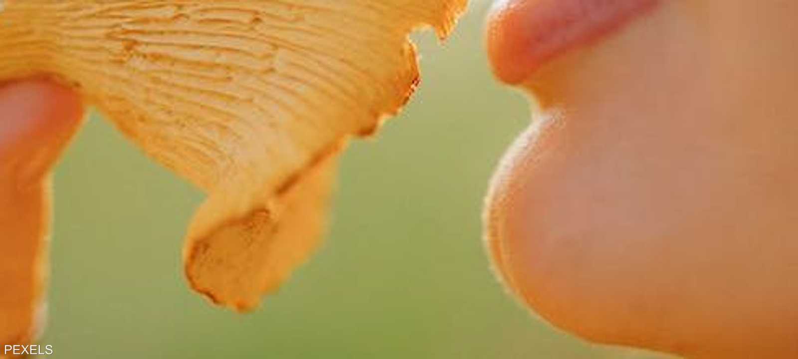 حاسة الشم تعد بمثابة جرس إنذار ينبه الجسم عند وقوع المخاطر