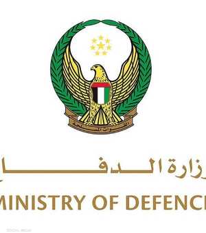 الحادث وقع الإثنين حسب وزارة الدفاع