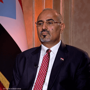 عيدروس الزبيدي: نشهد استكمالا لعاصفة الحزم بقيادة التحالف